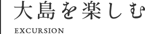 大島を楽しむ